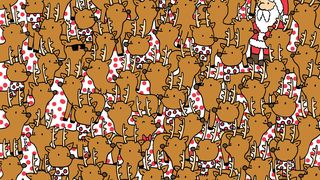 Cel mai amuzant puzzle de Crăciun: Ai un IQ peste medie dacă &icirc;l găsești pe Rudolf &icirc;n mai puțin de 10 secunde!