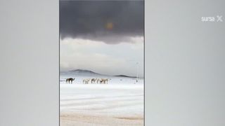VIDEO Deșertul Arabiei Saudite, acoperit de zăpadă pentru prima dată &icirc;n 30 de ani