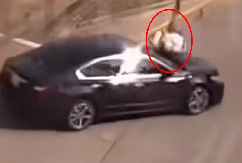 Momentul a fost surprins video