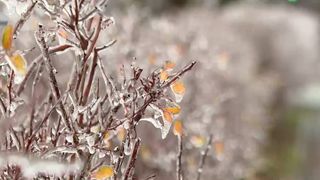VIDEO Cod roșu de vreme extremă &icirc;n Rom&acirc;nia. Rafale de peste 120 km/h, drumuri blocate și ninsori