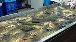 VIDEO &bdquo;Nu mi-au ajuns banii&rdquo;. &bdquo;Norocul&rdquo; de Revelion se scumpește