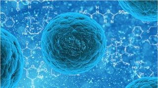 A fost descoperită "a treia stare" &icirc;ntre viață și moarte. "Există celule conștiente care nu mor"