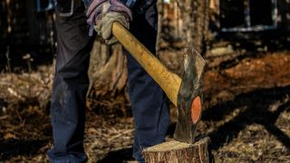 Șocul pe care l-a trăit un bărbat din Neamț &icirc;n timp ce tăia lemne. A găsit un proiectil din al Doilea Război Mondial &icirc;ntr-un buștean