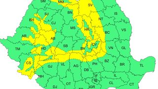 cod galben vijelii, ninsoare, vreme ianuarie 2026 