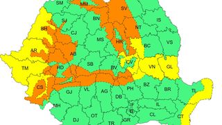 cod portocaliu viscol, cod galben ploi 