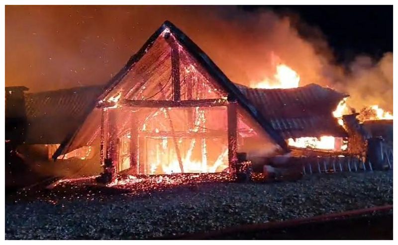 ferma dacilor incendiu, cornel dinicu