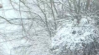 VIDEO &bdquo;A nins foarte frumos, ca pe vremuri&rdquo;. Iarnă &icirc;n toată regula și &icirc;n București