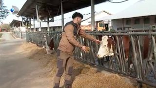 Dalin Moisa, fermierul bun la toate