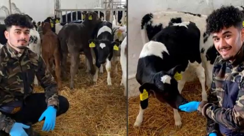 Dalin Moisa, fermierul bun la toate