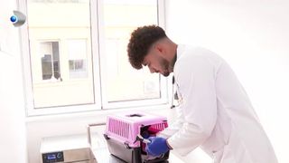 Dalin Moisa, fermierul bun la toate