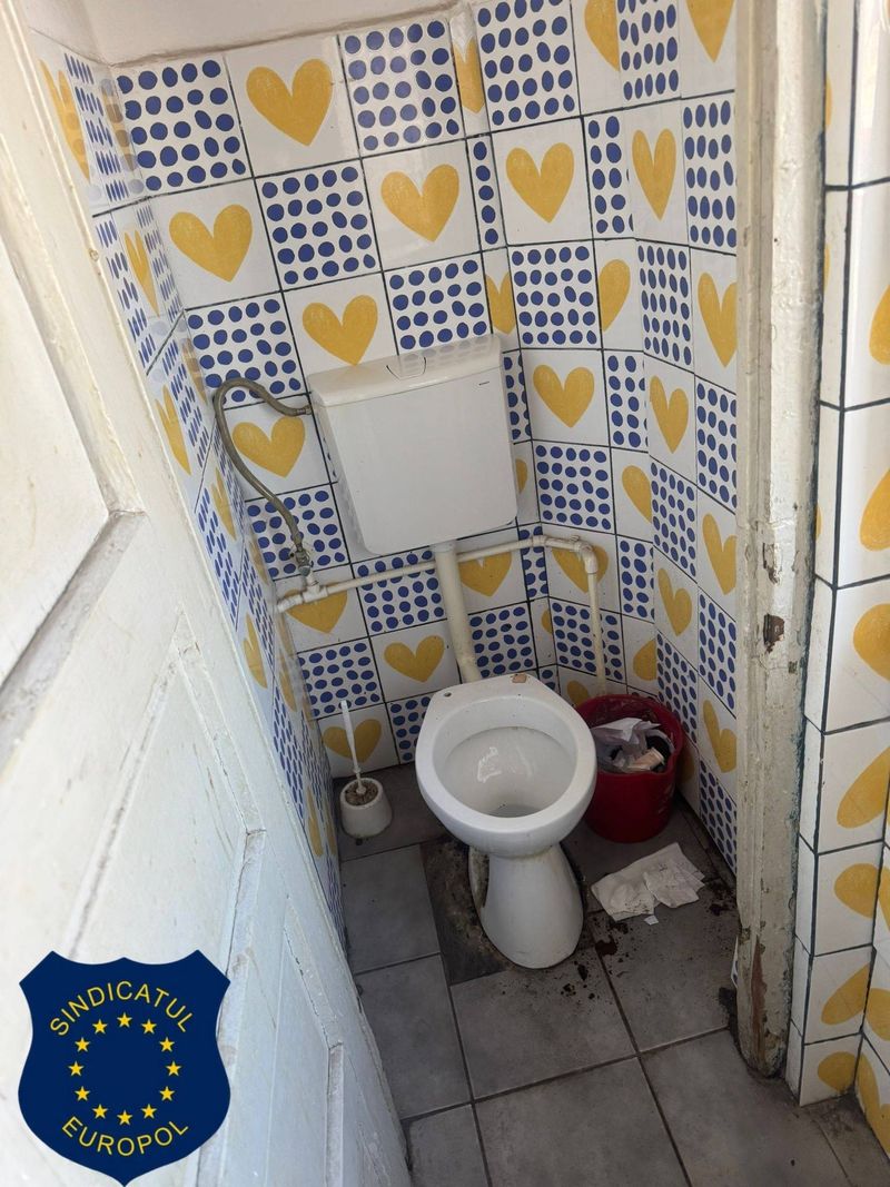 politie navodari, ipj constanta, europol 