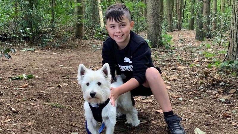 Noah, victima unei provocări online