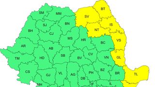 cod galben ger, avertizare anm 