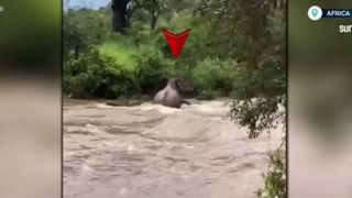 VIDEO Inundații catastrofale &icirc;n Africa de Sud: cel puțin 30 de morți