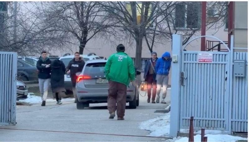 copil ucis timis, criminali retinuti 