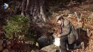 Vasile Pașca, un om departe de oameni