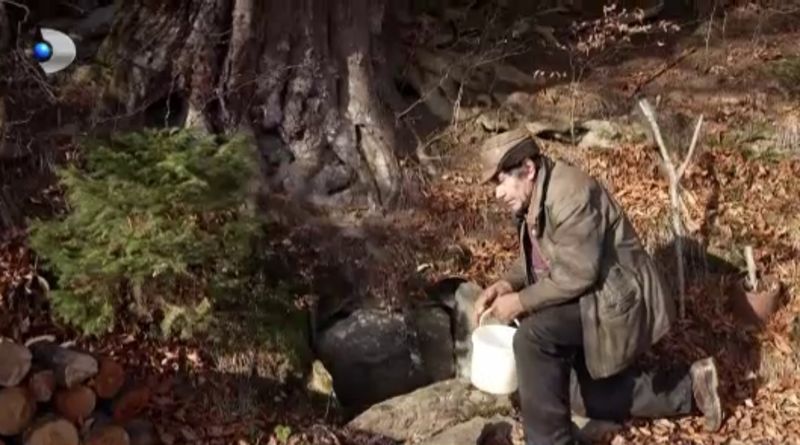 Vasile Pașca, un om departe de oameni