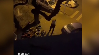 VIDEO Bărbatul care a distrus căsuțele pisicilor, plasat sub control judiciar