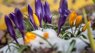 Vremea se &icirc;ncălzește: După gerul din ultimele săptăm&acirc;ni, vom avea temperaturi de primăvară