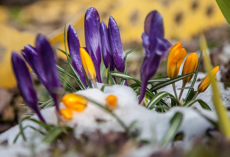 Vremea se încălzește
