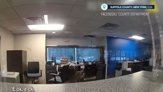 VIDEO Un cerb a făcut ravagii &icirc;ntr-o bancă din New York. Polițiștii &icirc;ncearcă să-l prindă