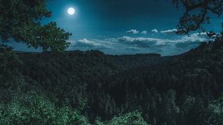 Luna Plină din februarie 2026