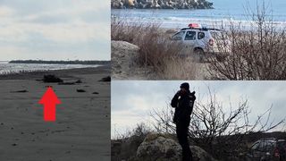 VIDEO Alertă la Marea Neagră. Mină marină eșuată pe plaja de la Midia