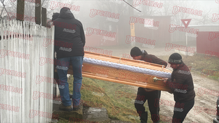 nicusor dan, presedintele romaniei 