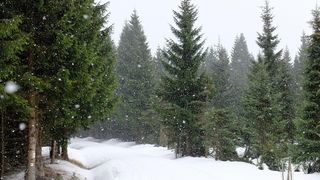 Va ninge &icirc;n februarie 2026? ANM anunță că urmează o lună a extremelor