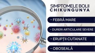 VIDEO Un nou caz de virus Chikungunya a fost confirmat &icirc;n Rom&acirc;nia
