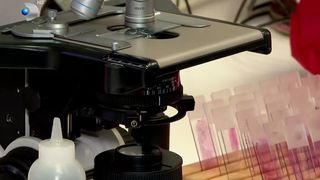 VIDEO Medicina viitorului &icirc;n Rom&acirc;nia: un studiu revoluționar analizează ADN-ul pentru prevenirea bolilor