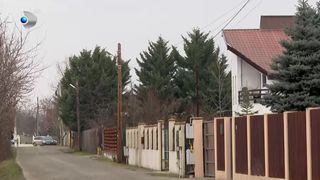 VIDEO Au fugit de aglomerație la marginea Bucureștiului