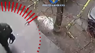 VIDEO Legătura directă dintre sărăcia extremă și jafurile mici din Rom&acirc;nia