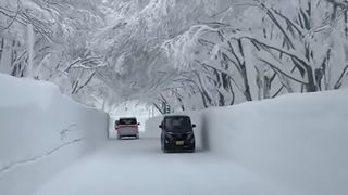 Ninsori record &icirc;n Japonia. Cel puțin 30 de oameni au murit sub nămeți