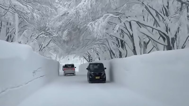 Ninsori record în Japonia. Cel puțin 30 de oameni au murit sub nămeți