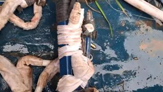 criminal roman, evadare inchisoare 