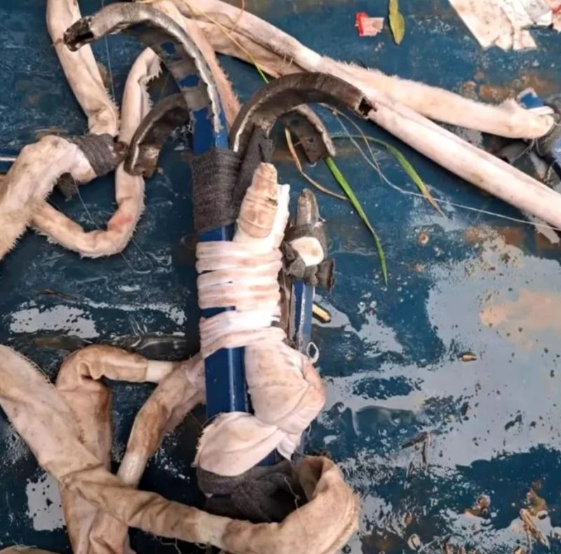 criminal roman, evadare inchisoare 