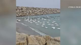 VIDEO Cod galben de ger și viscol &icirc;n jumătatea de est a țării. Meteorologii aunță temperaturi scăzute și ninsori &icirc;n următoarele zile