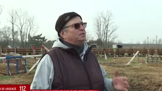 VIDEO Instructor de echitație din Craiova, acuzat de maltratarea cailor și jignirea elevilor. Părinții fac mărturii șocante: &bdquo;&Icirc;ncepea cu o plimbare pe pistă, după care urma teroarea&rdquo;