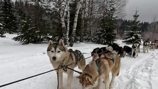 VIDEO Ce faci &icirc;n weekend, cu Claudia Costandiș. Experiență ca &icirc;n Laponia, dar &icirc;n Rom&acirc;nia