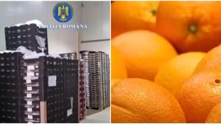 VIDEO Descoperire șocantă: firmă suspectată că ar fi v&acirc;ndut peste 12 tone de portocale cu pesticide