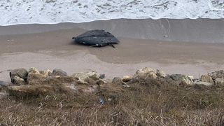 VIDEO O dronă a fost găsită pe plajă, la Costinești. Autoritățile, &icirc;n alertă: "Aparţine unui aparat de zbor fără pilot"