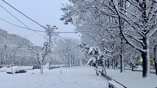 cod galben ninsori, avertizare ANM 