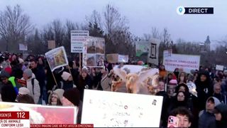 VIDEO &bdquo;Este o crimă cu premeditare&rdquo;. Dreptate pentru animale: mii de oameni, &icirc;n stradă