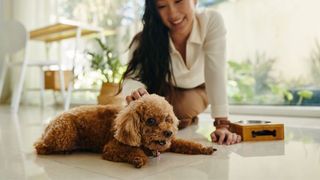 (P) Creșterea animalelor de companie la bloc și ce prevede legislația actuală&nbsp;