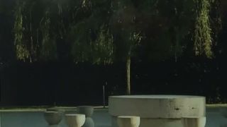 VIDEO Operele lui Constantin Br&acirc;ncuși din T&acirc;rgu Jiu, &icirc;n pericol din cauza vandalismului și neglijenței autorităților