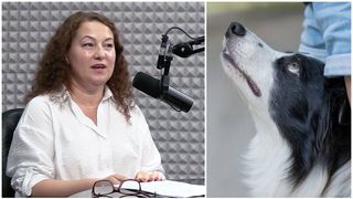 Ce ar trebui, de fapt, să măn&acirc;nce patrupedul tău. Sfatul celui mai titrat specialist &icirc;n nutriție animală din Rom&acirc;nia, Dr. Gianina Răsvan-Șoltz: "C&acirc;nd vorbim de alegerea hranei, vorbim de nutrienți"