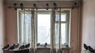 VIDEO A plecat de acasă pentru 3 ani, dar a uitat un mic geam deschis la sufragerie. C&acirc;nd s-a &icirc;ntors, a avut un șoc total