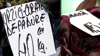 VIDEO Verdețurile de primăvară, un lux pentru buzunarele rom&acirc;nilor. Urzicile se v&acirc;nd și cu 40 de lei pe kilogram: &bdquo;Cei mai mulți vin, se uită și pleacă&rdquo;