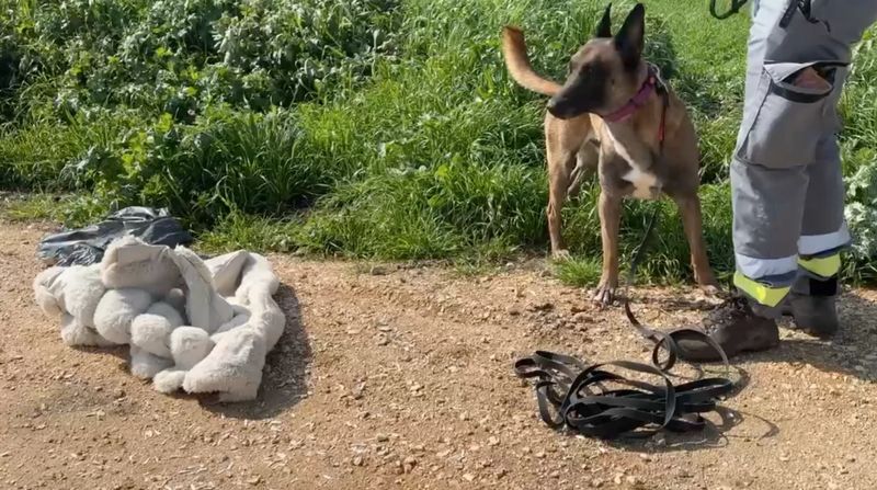 romanca disparuta, ancheta italia 